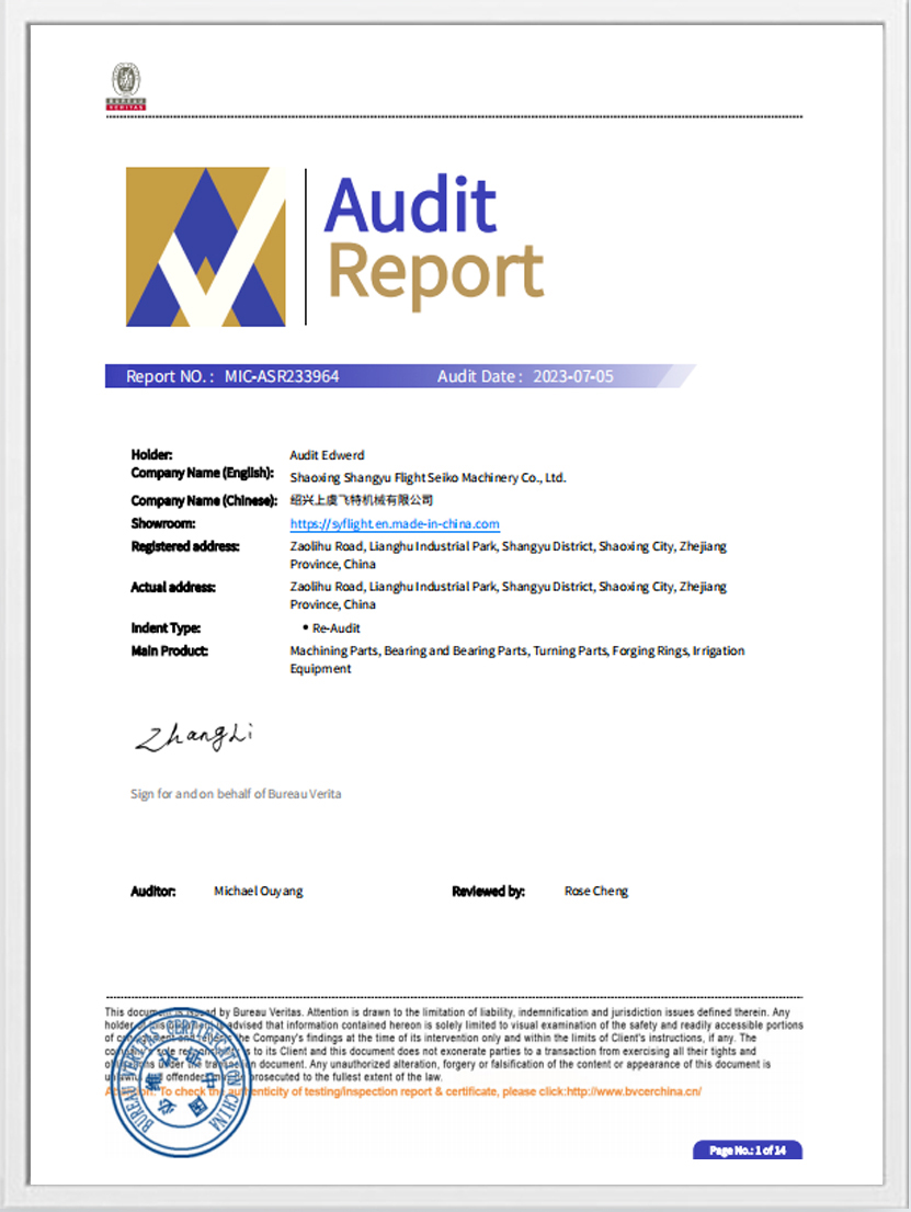 Raport de certificare