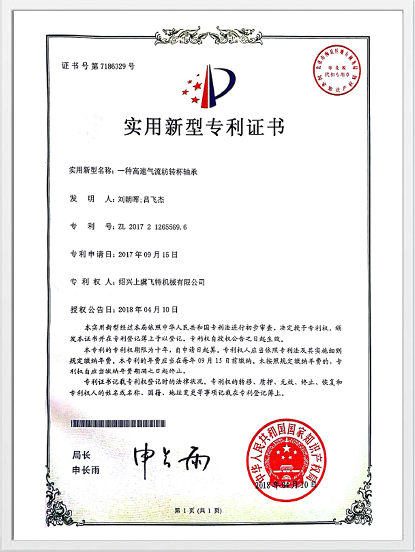 Certificat practic de brevet